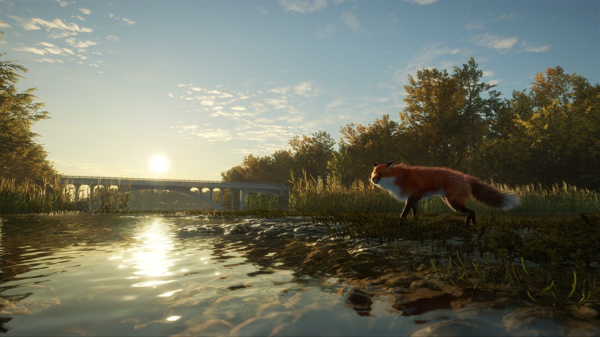 Screenshot for TheHunter: Call of the Wild - Salzwiesen Park