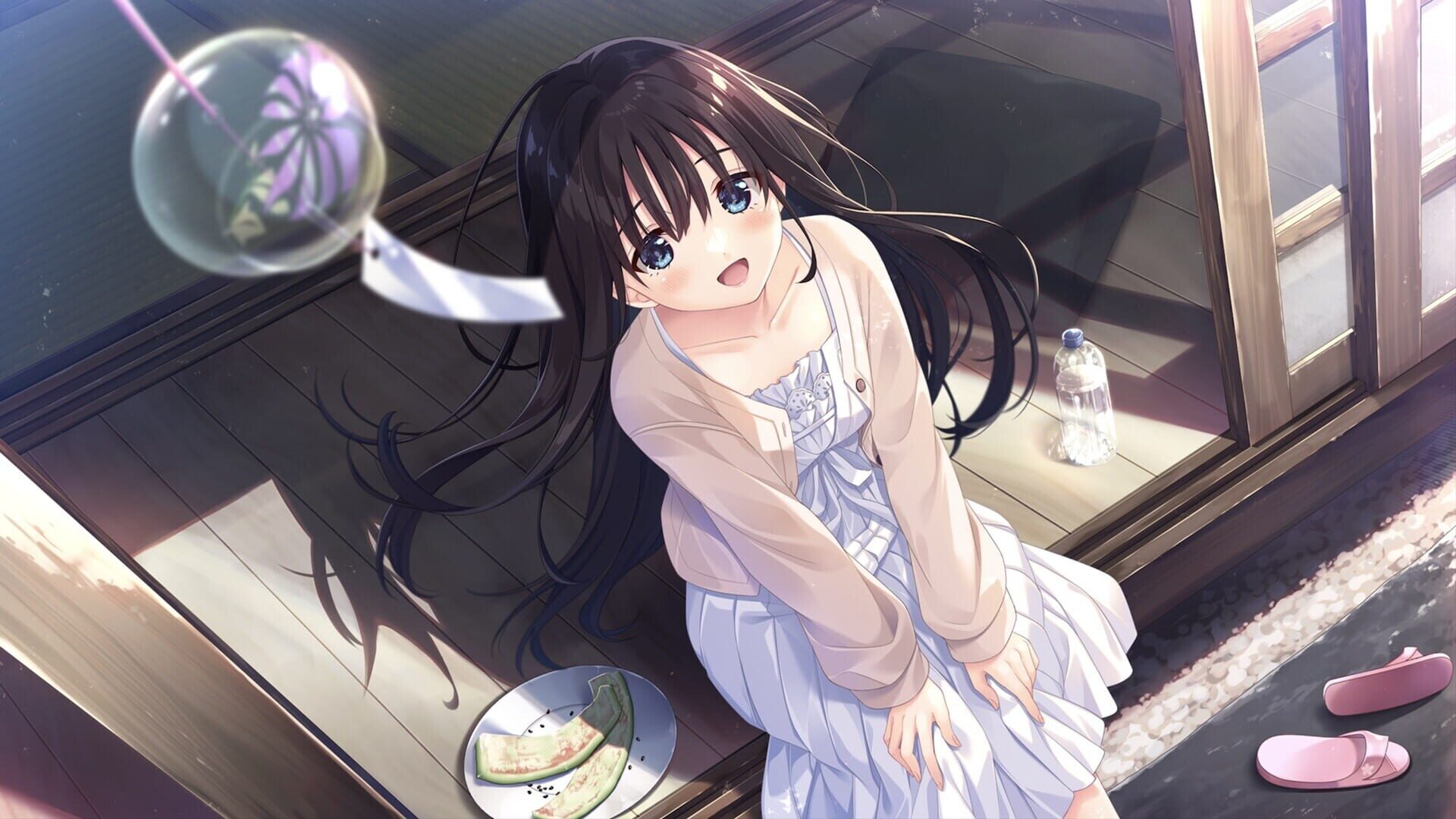 Screenshot for Sickly Days and Summer Traces
