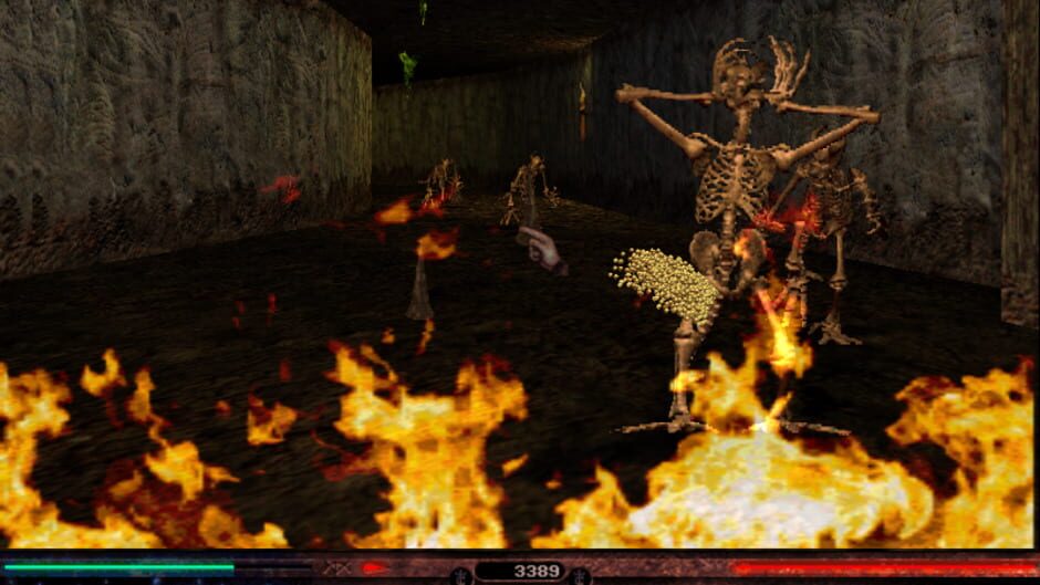 Screenshot for Lands of Lore III