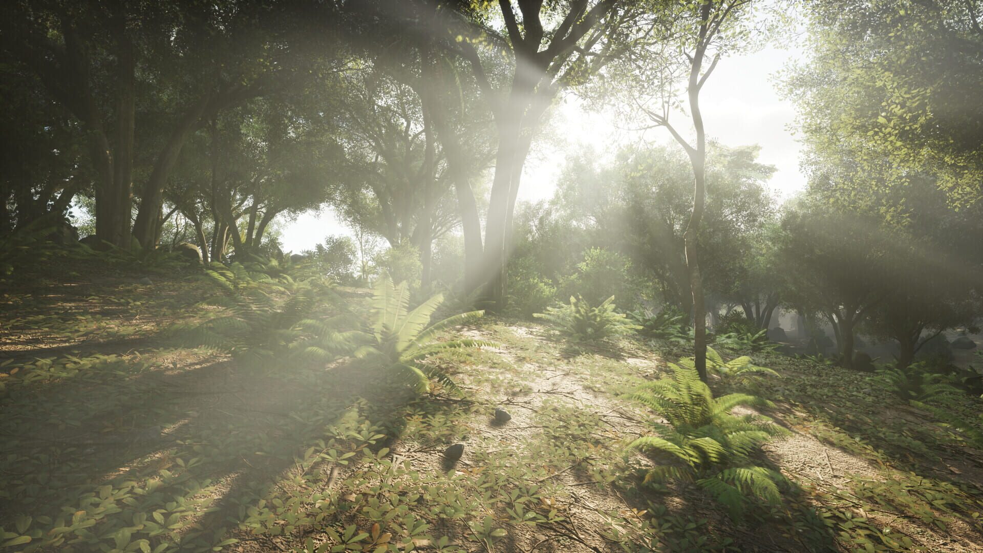 Screenshot for Beyond Enemy Lines: Vietnam