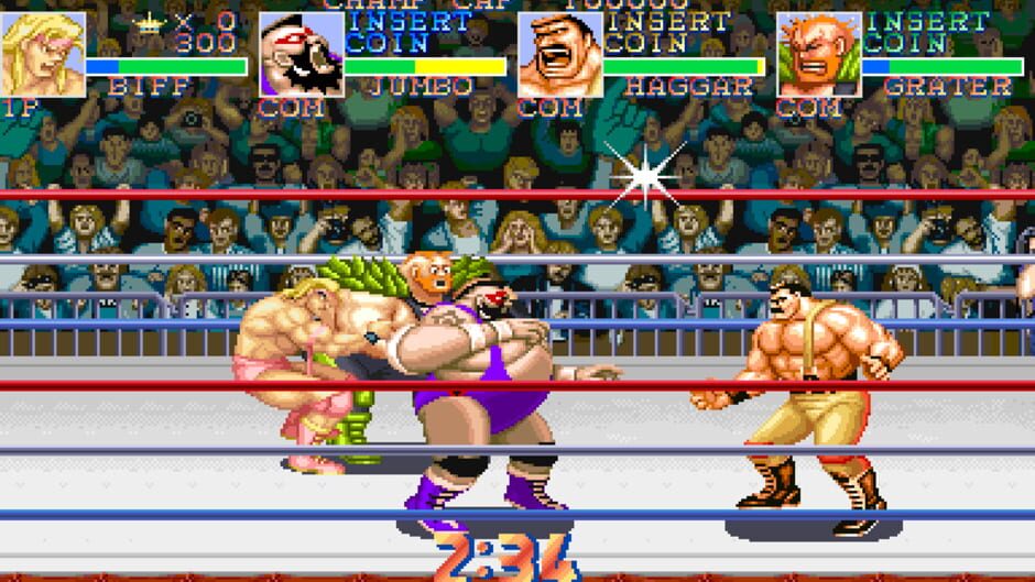 Screenshot for Saturday Night Slam Masters