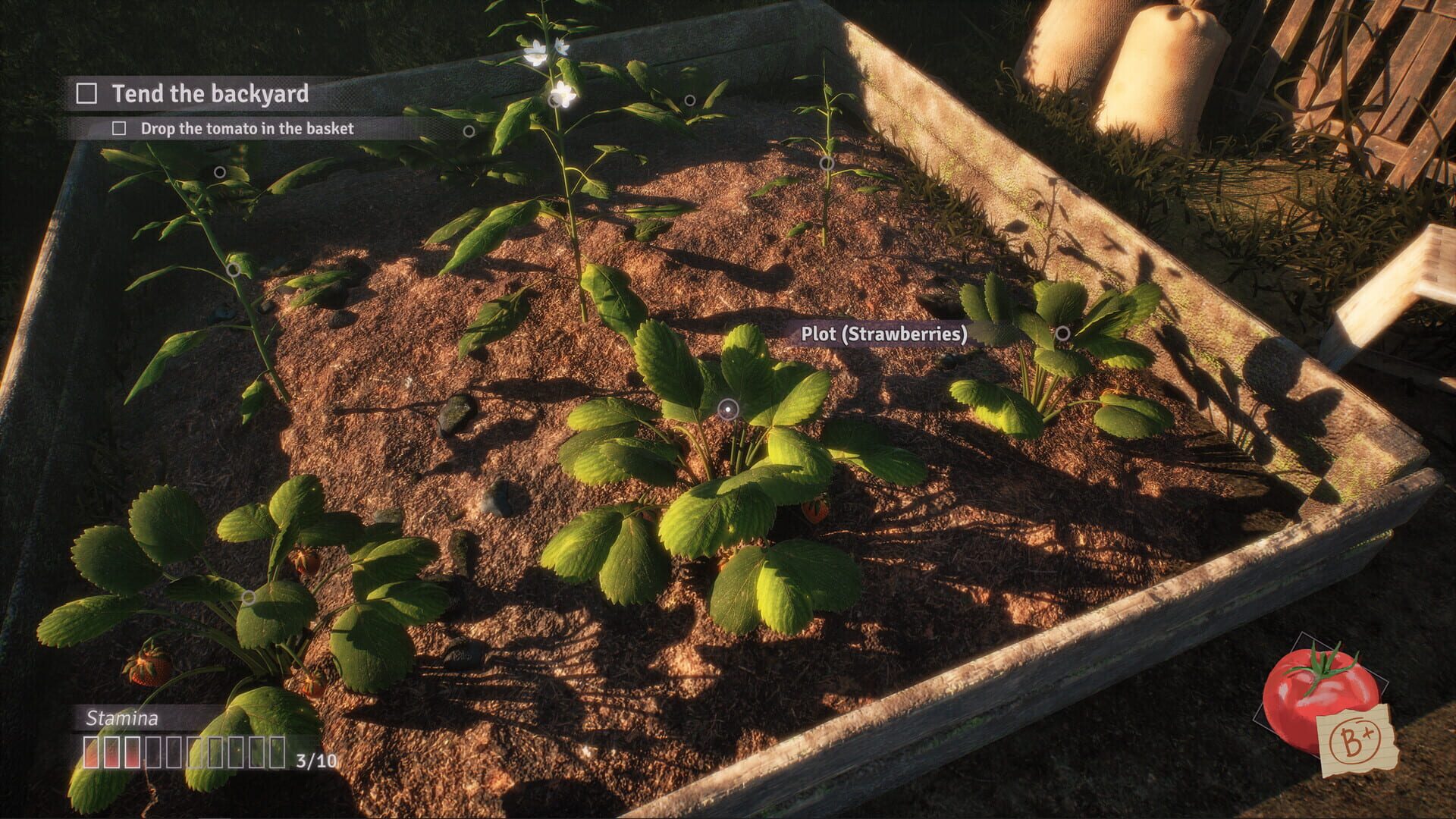 Screenshot for Fractured Blooms