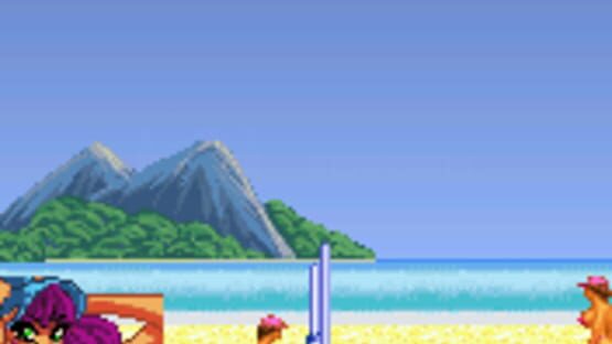 Screenshot for Leisure Suit Larry: Bikini Beach Volleyball
