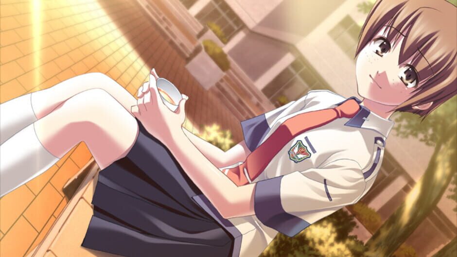 Screenshot for Gunjou no Sora wo Koete