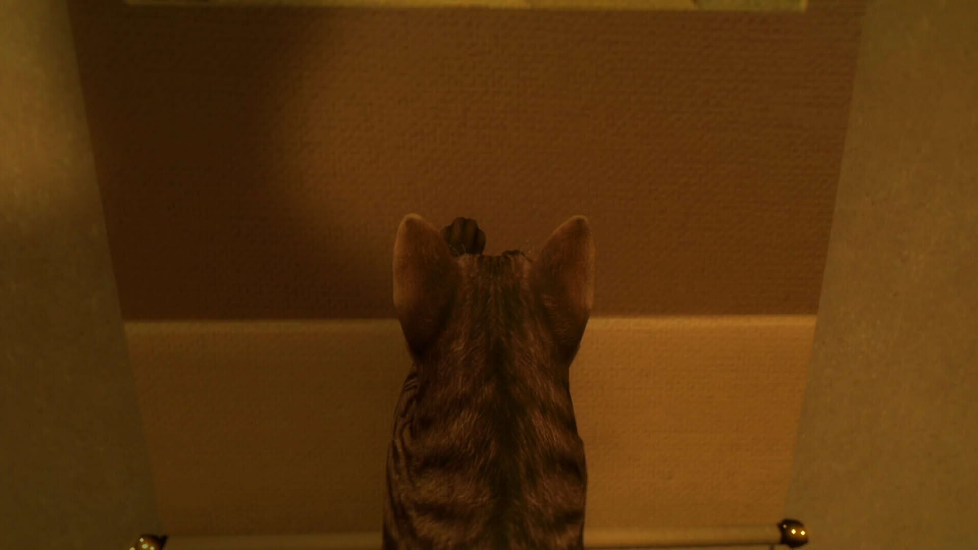 Screenshot for Still It Runs