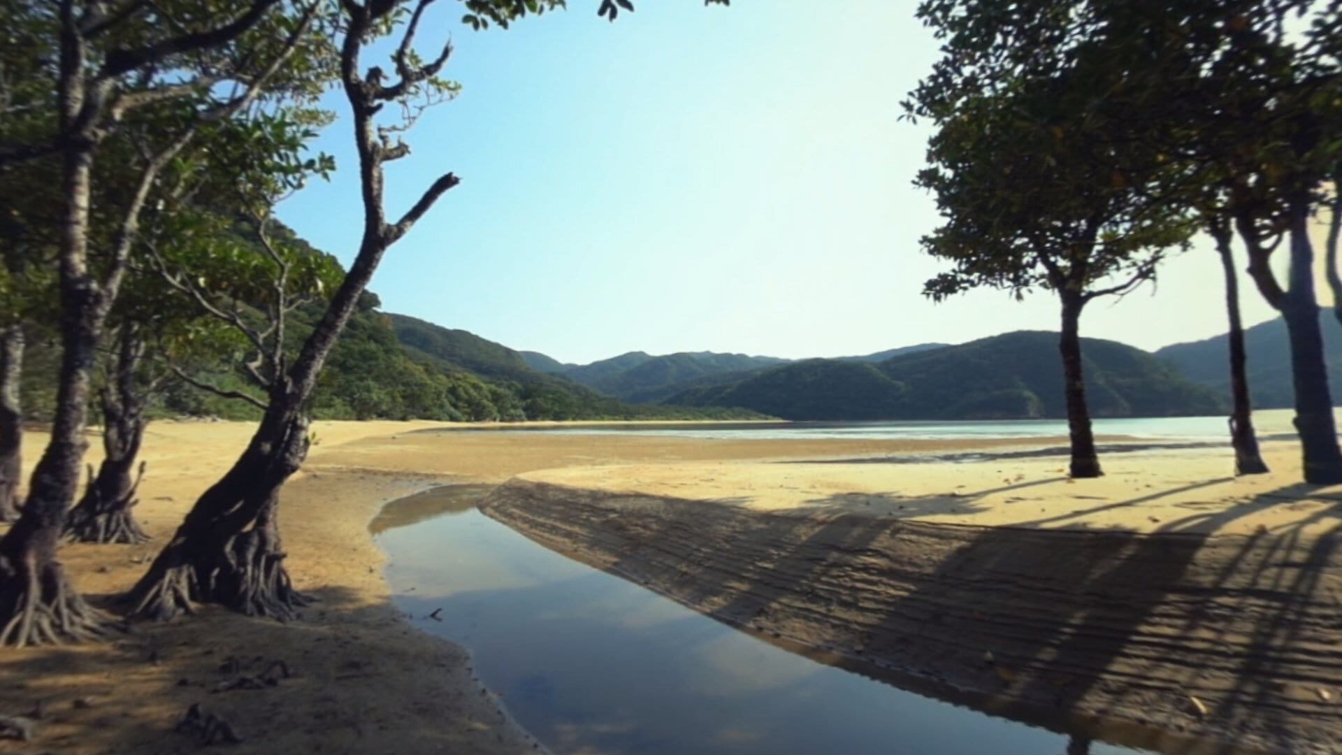 Screenshot for AnywhereVR