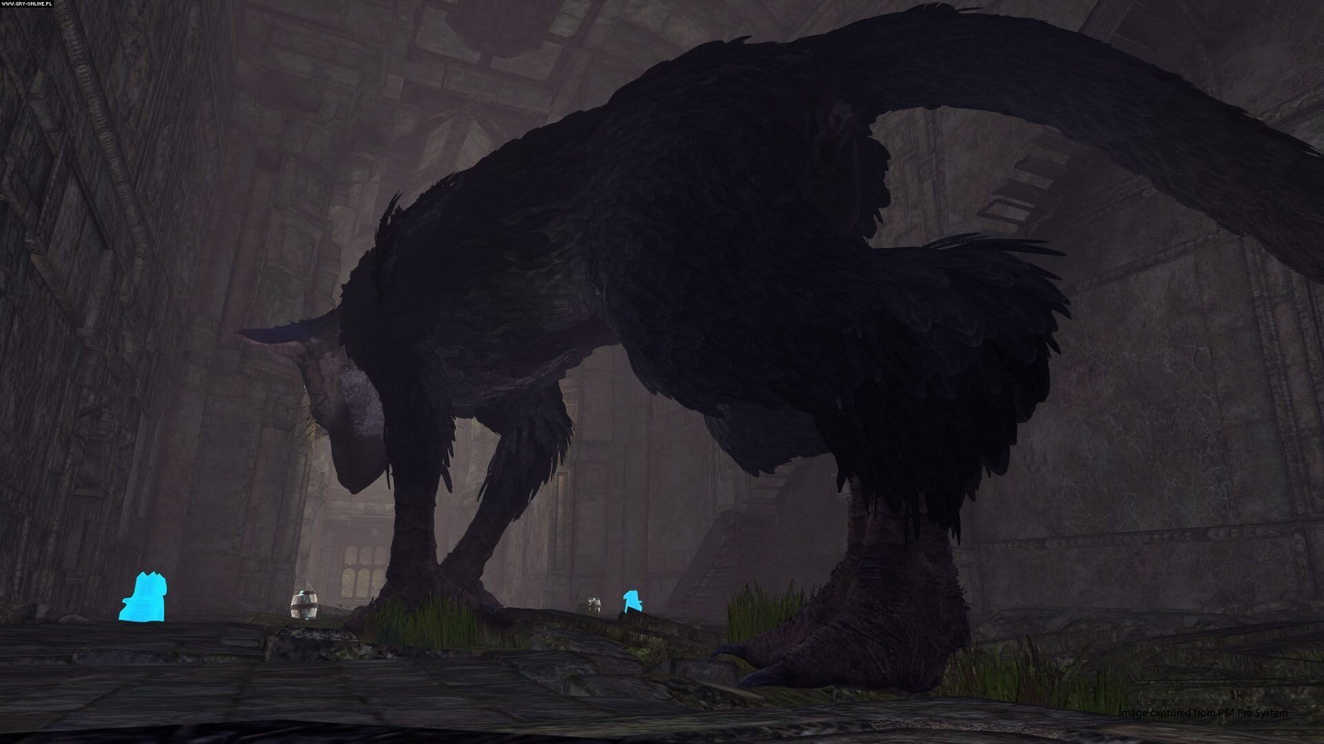 Screenshot for The Last Guardian VR