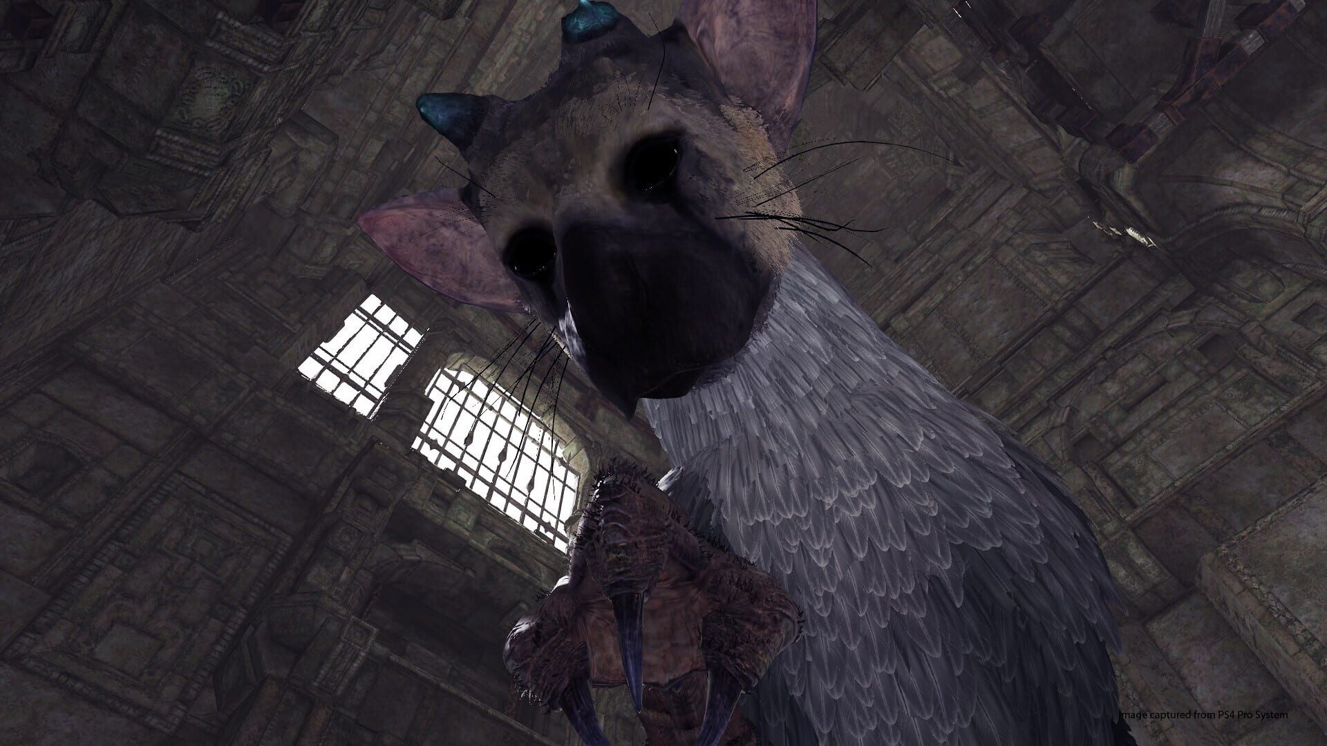 Screenshot for The Last Guardian VR