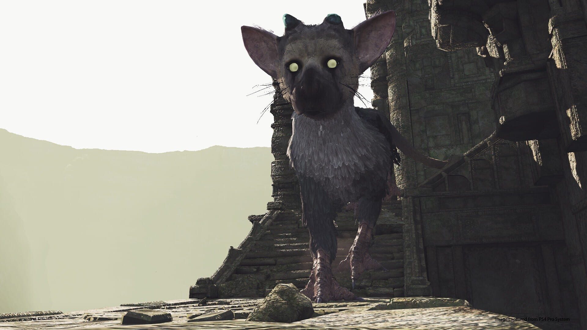 Screenshot for The Last Guardian VR