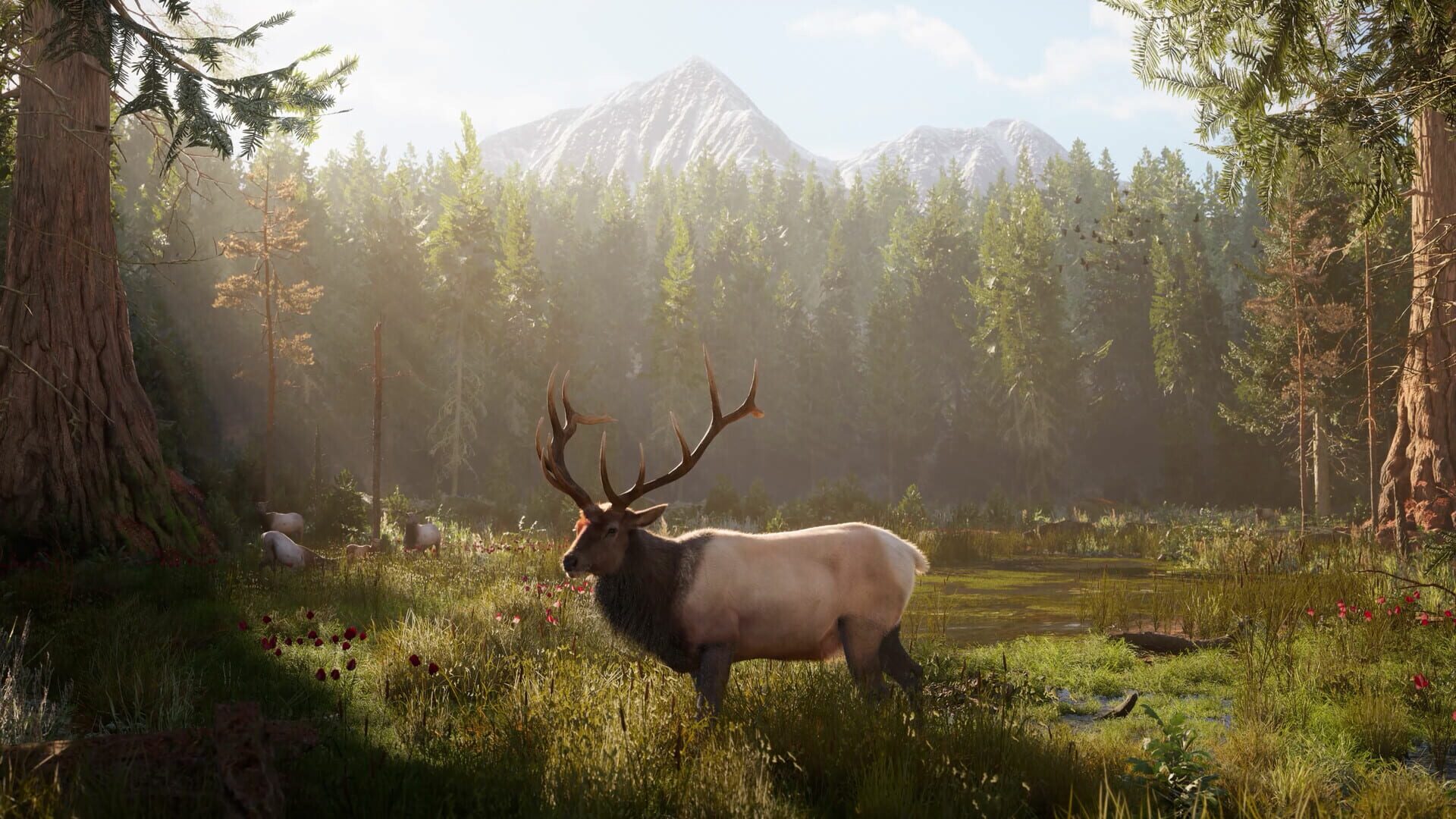 Screenshot for Ultimate Hunting