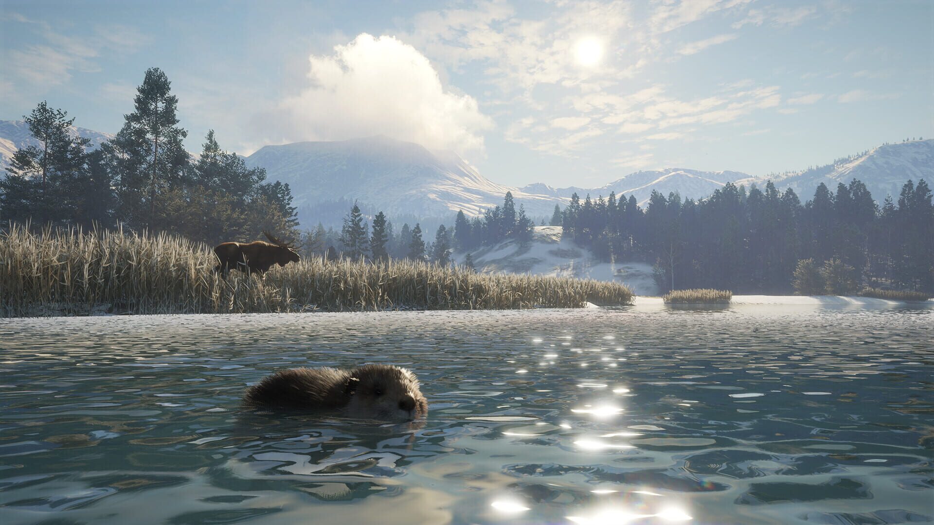 Screenshot for TheHunter: Call of the Wild - Alberta Hunting Preserve