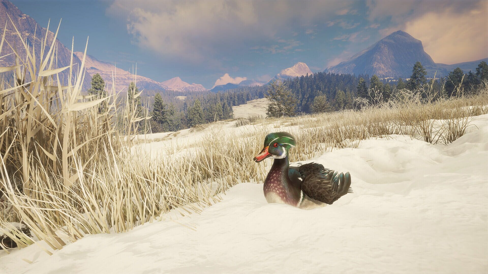 Screenshot for TheHunter: Call of the Wild - Alberta Hunting Preserve