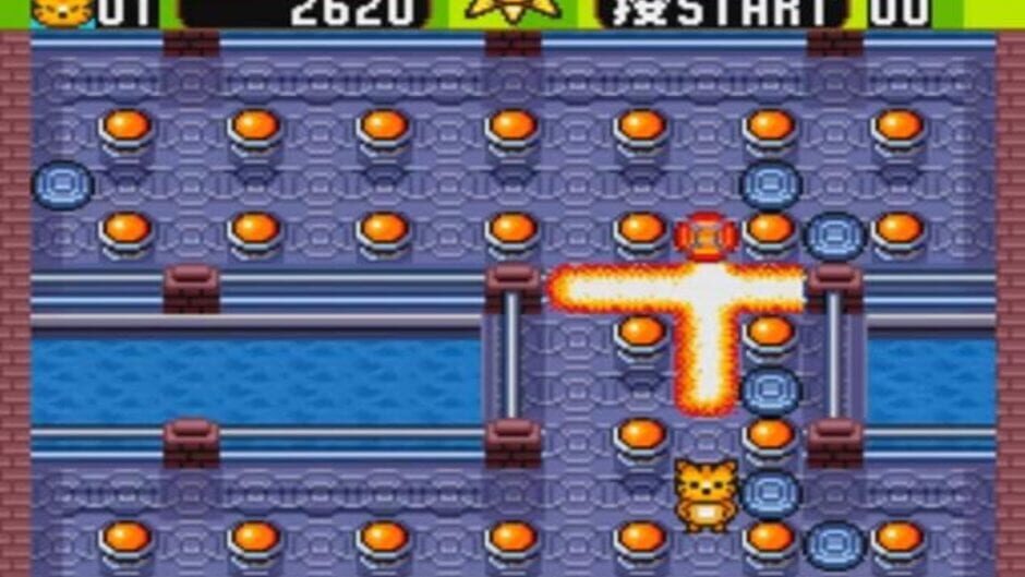 Screenshot for Boom Zoo