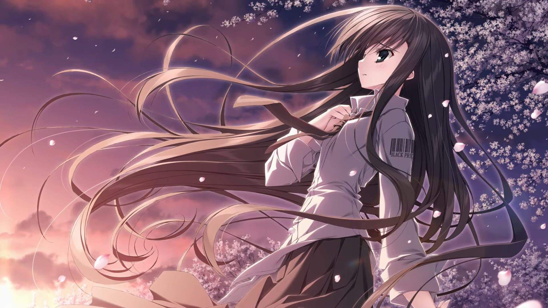 Screenshot for Sakura no Uta Re:Graphic - 10th Anniversary Edition