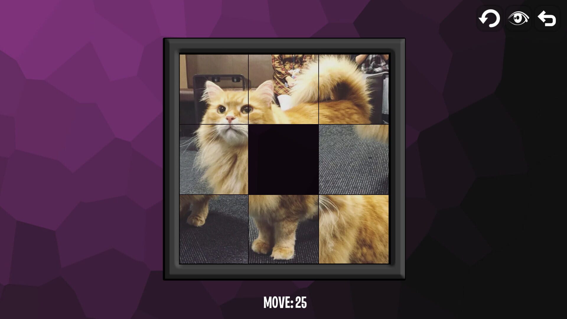 Screenshot for Intelligence: Cats