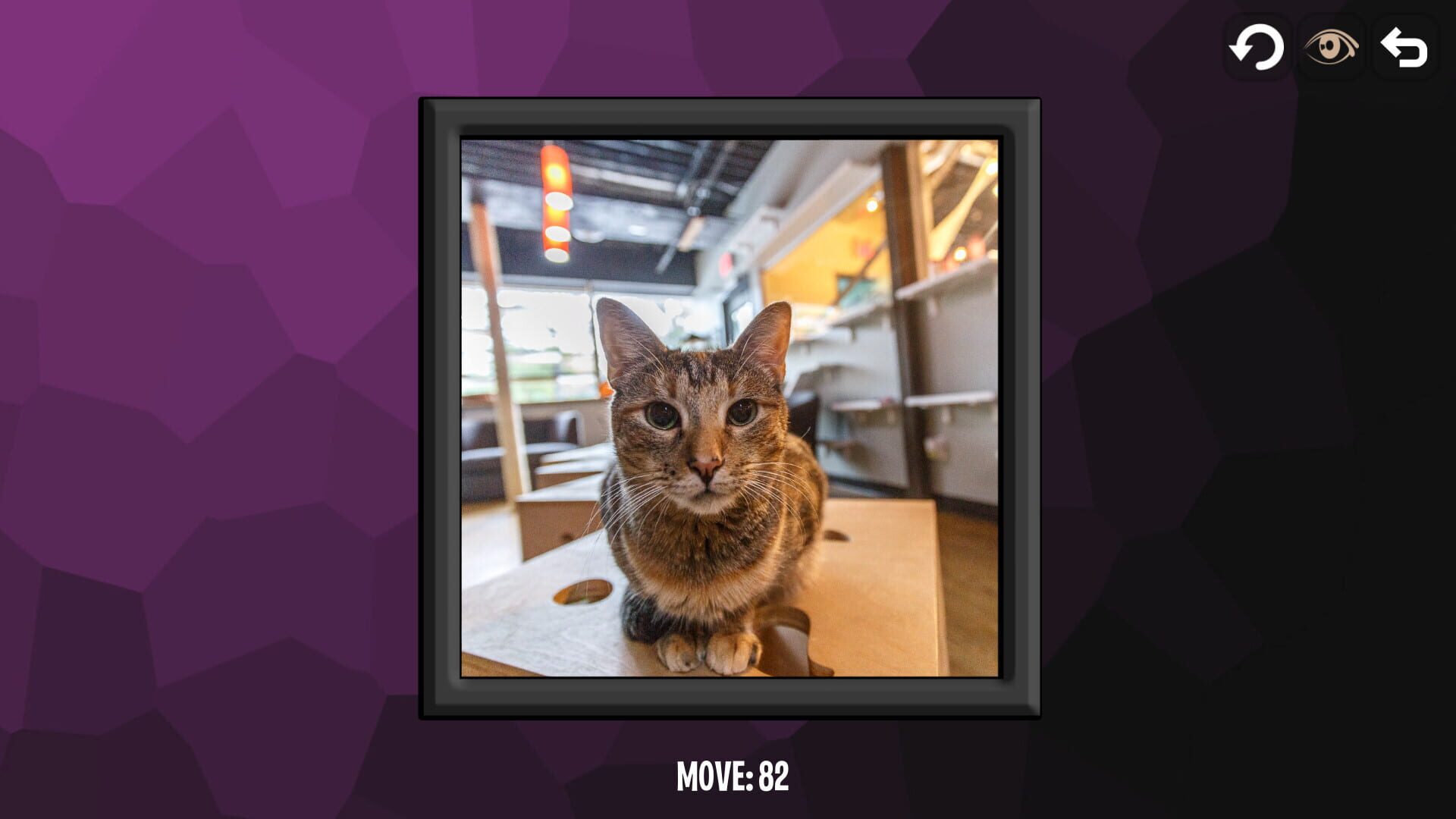 Screenshot for Intelligence: Cats