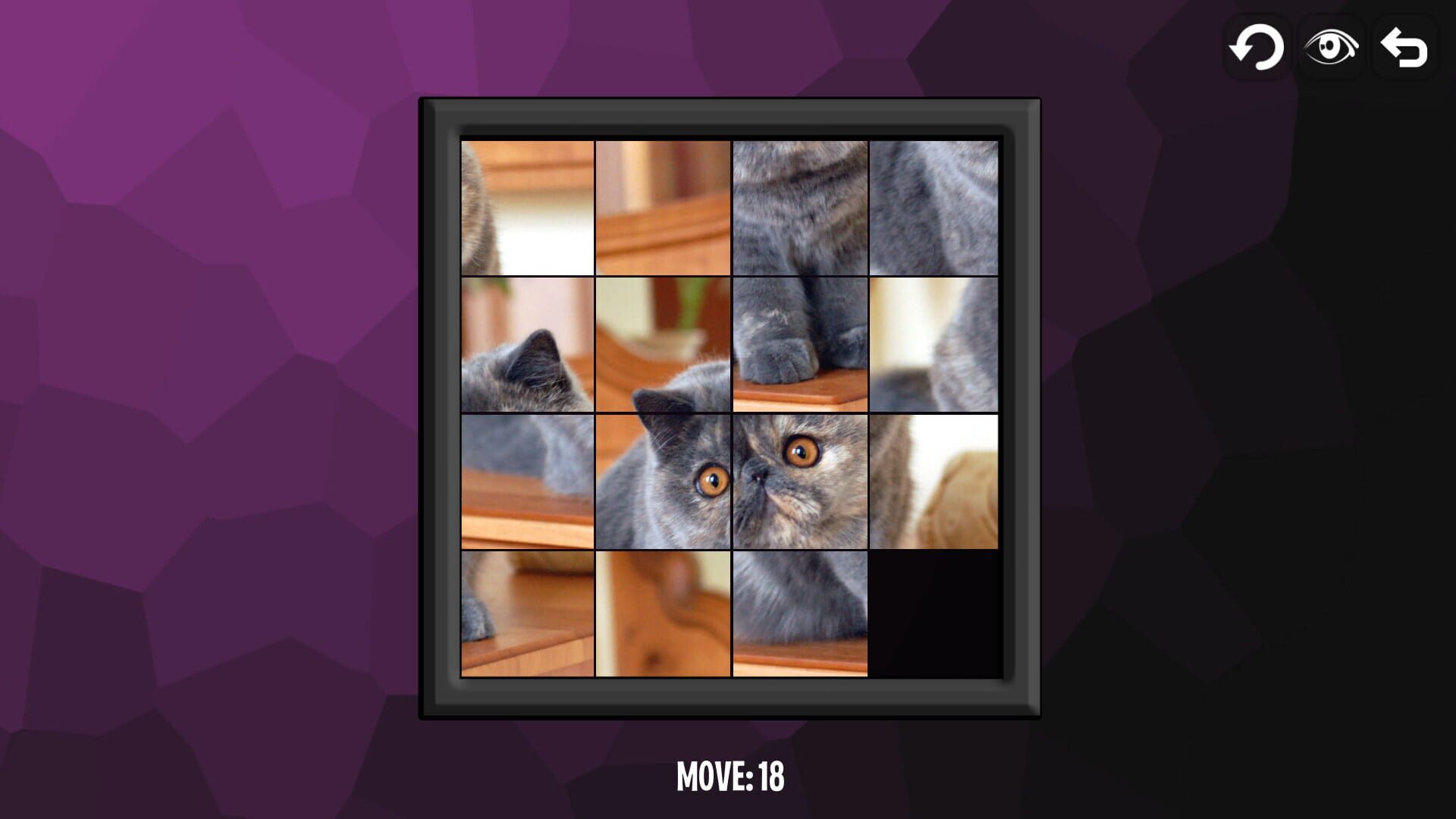 Screenshot for Intelligence: Cats