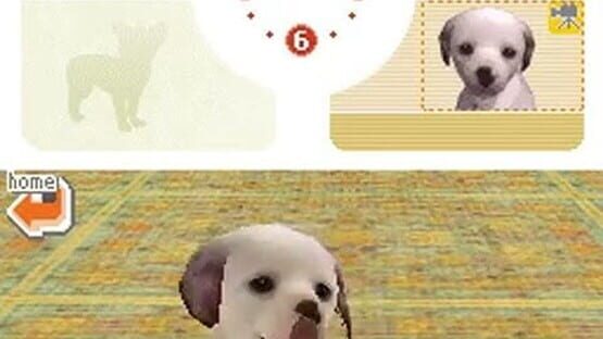 Screenshot for Nintendogs: Dalmatian & Friends