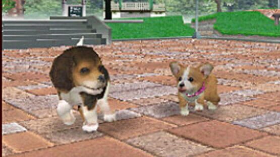 Screenshot for Nintendogs: Dalmatian & Friends