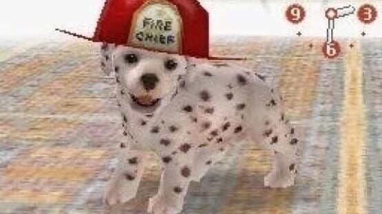 Screenshot for Nintendogs: Dalmatian & Friends