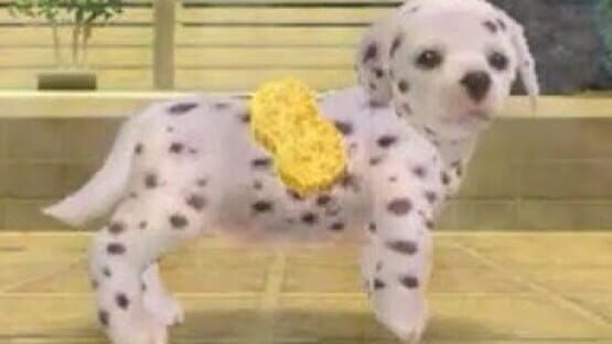 Screenshot for Nintendogs: Dalmatian & Friends