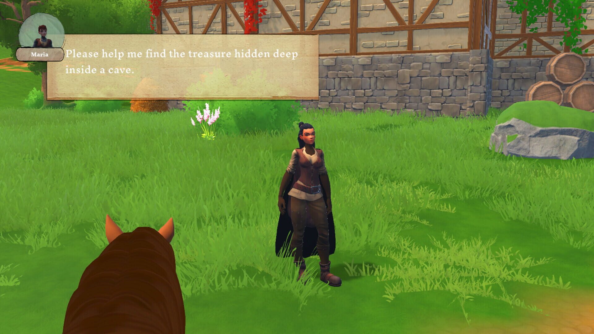 Screenshot for Storm Horse Simulator