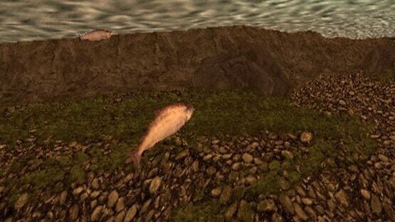 Screenshot for Reel Fishing: The Great Outdoors
