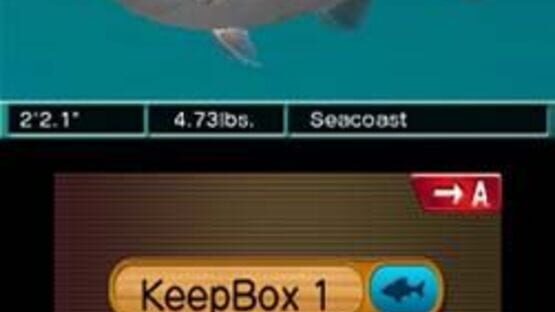 Screenshot for Reel Fishing Paradise 3D