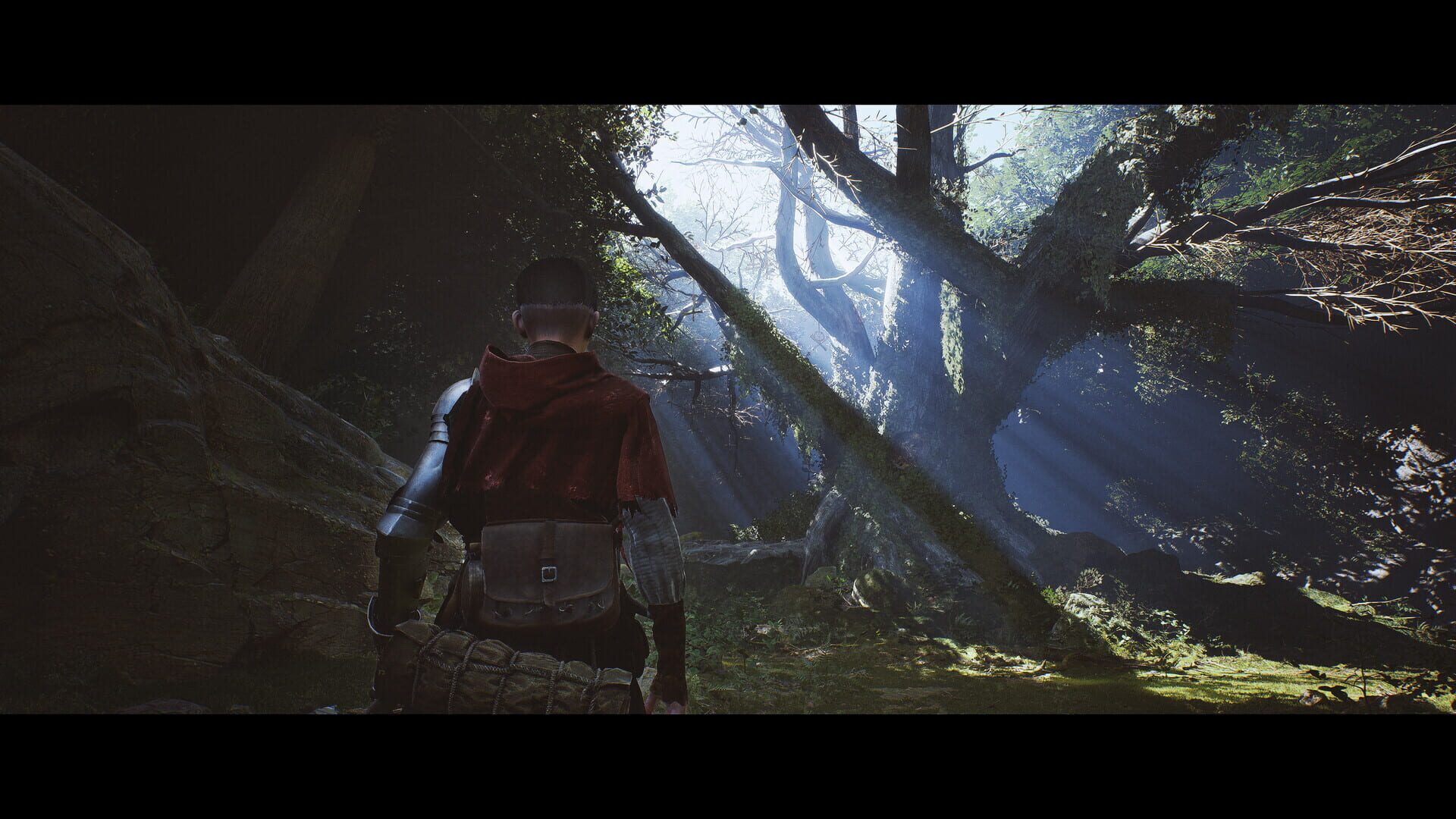 Screenshot for 1348: Ex Voto