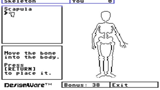 Screenshot for The Body Transparent