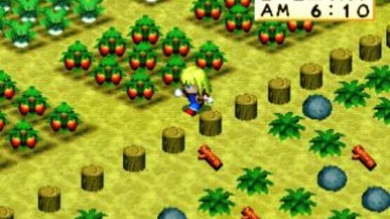 Screenshot for Harvest Moon for Girl