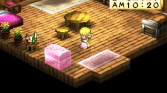 Screenshot for Harvest Moon for Girl