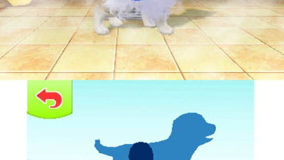 Screenshot for Petz Beach