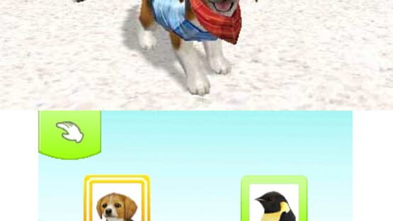 Screenshot for Petz Beach