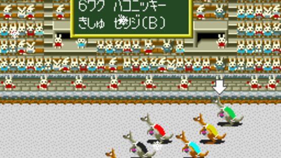 Screenshot for Wallaby!! Usagi no Kuni no Kangaroo Race