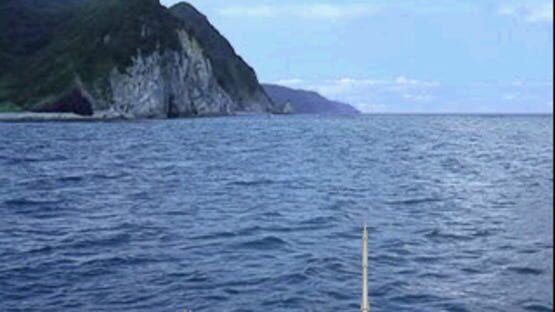 Screenshot for Reel Fishing II