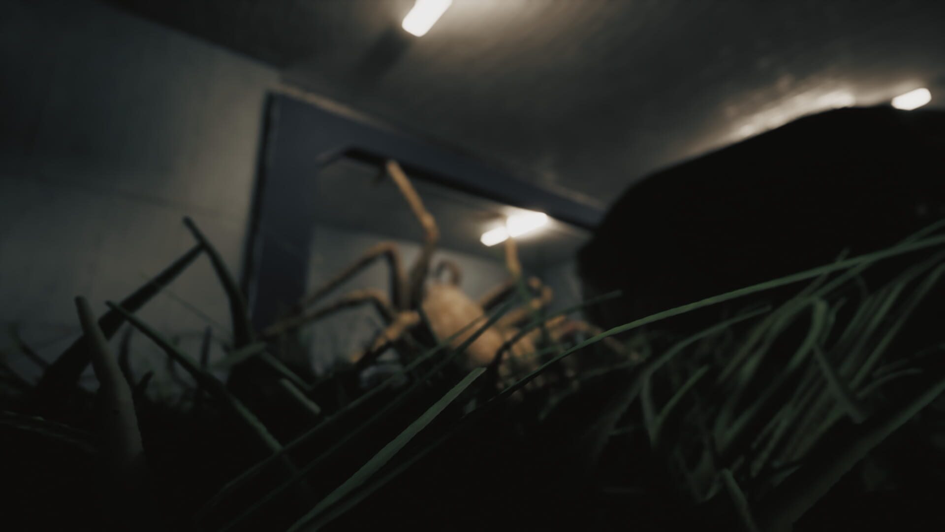 Screenshot for Huntsman