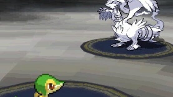 Screenshot for Pokémon Black Version