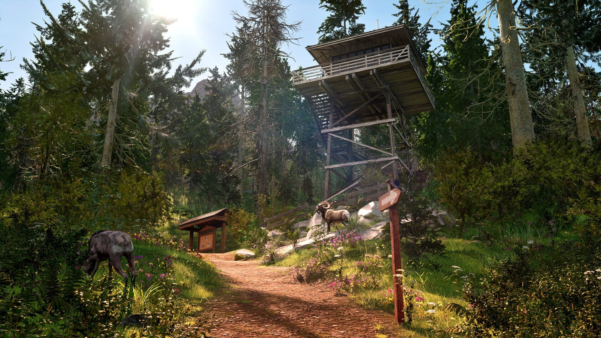 Screenshot for Ranger’s Path: National Park Simulator