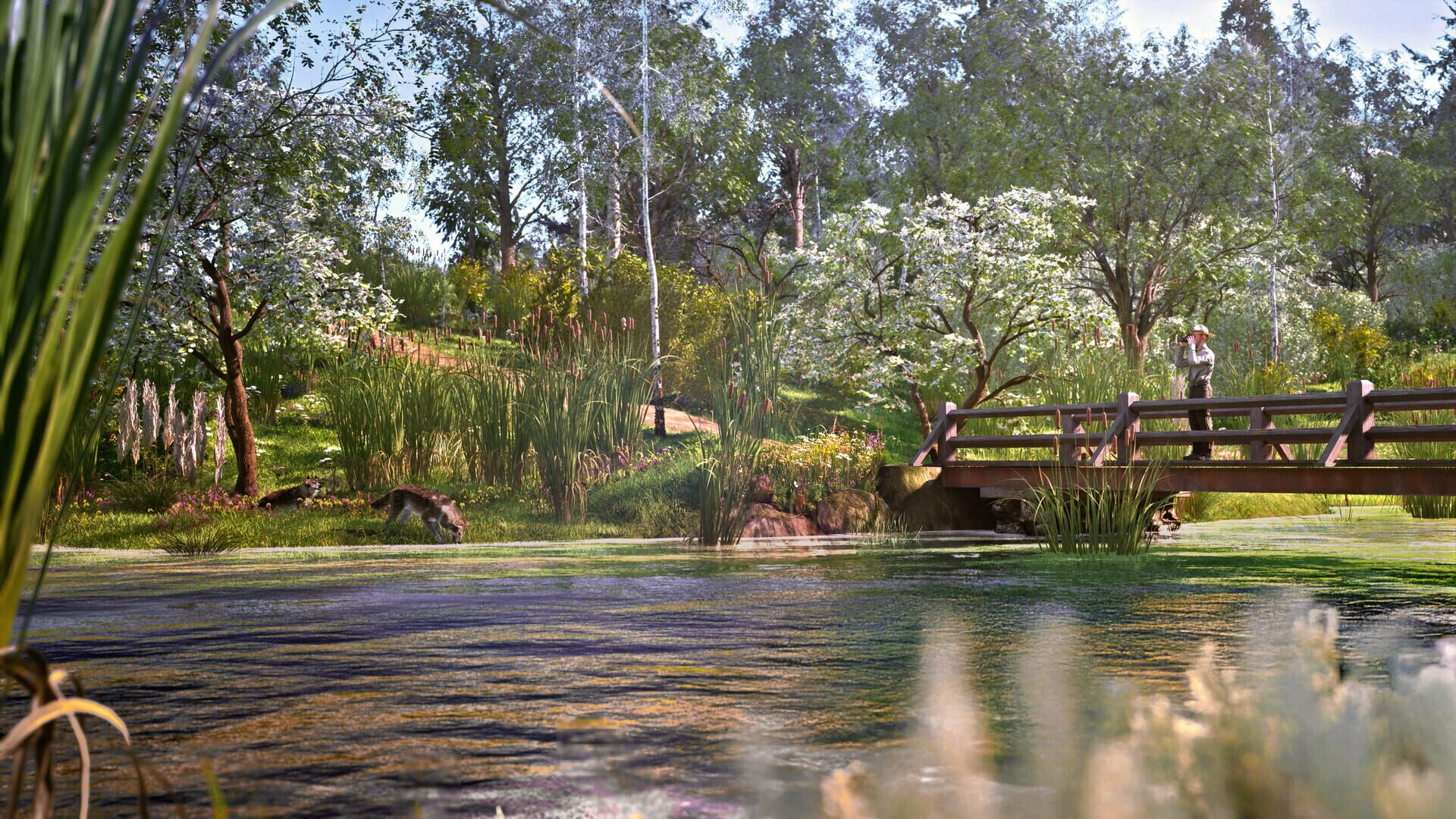 Screenshot for Ranger’s Path: National Park Simulator