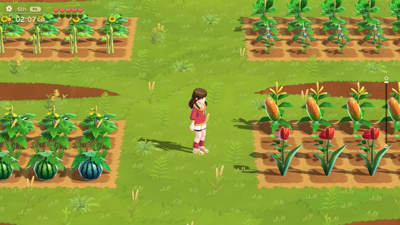 Screenshot for Harvest Moon: Home Sweet Home Special Edition