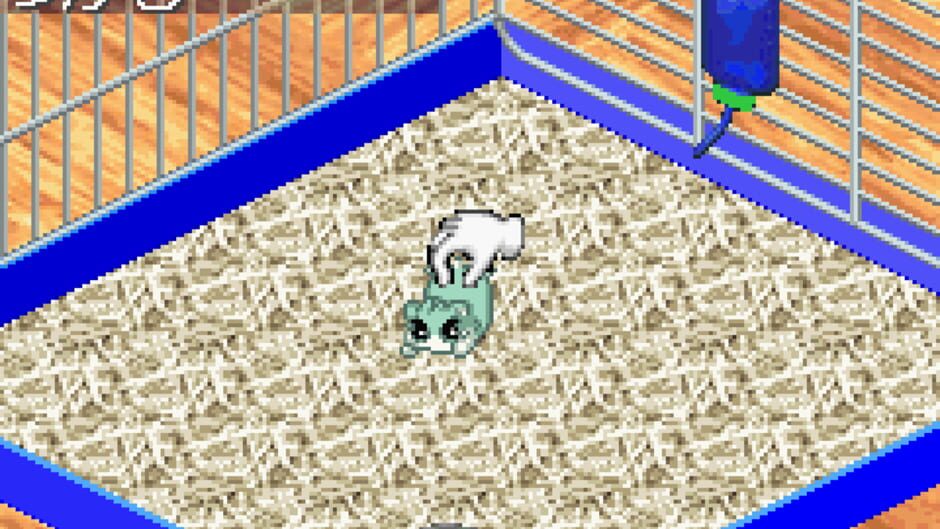 Screenshot for Hamster Monogatari 3 GBA