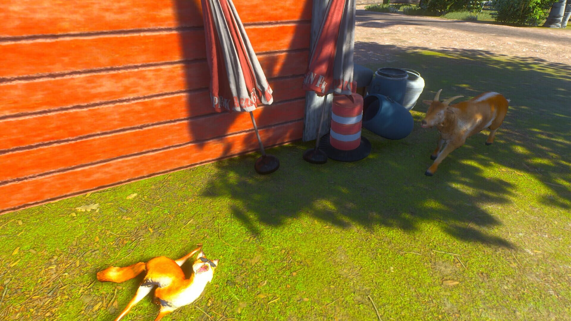 Screenshot for Chill Fox