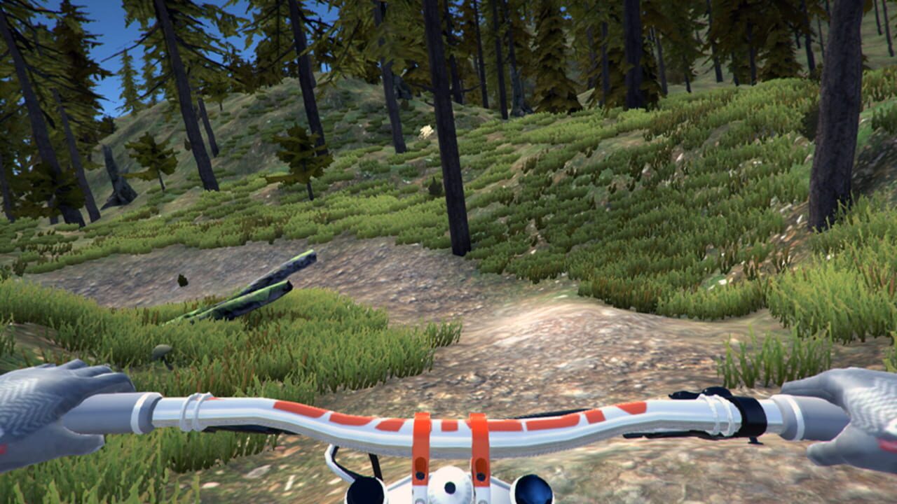Screenshot for MTB Downhill Simulator