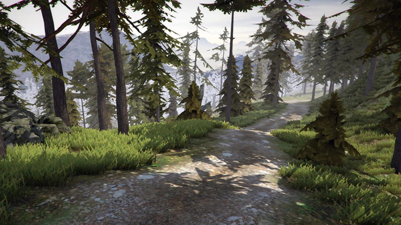 Screenshot for MTB Downhill Simulator