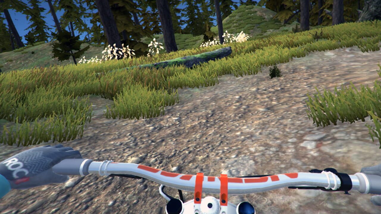 Screenshot for MTB Downhill Simulator