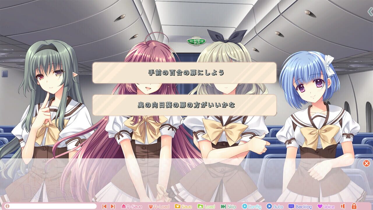 Screenshot for Princess x Princess