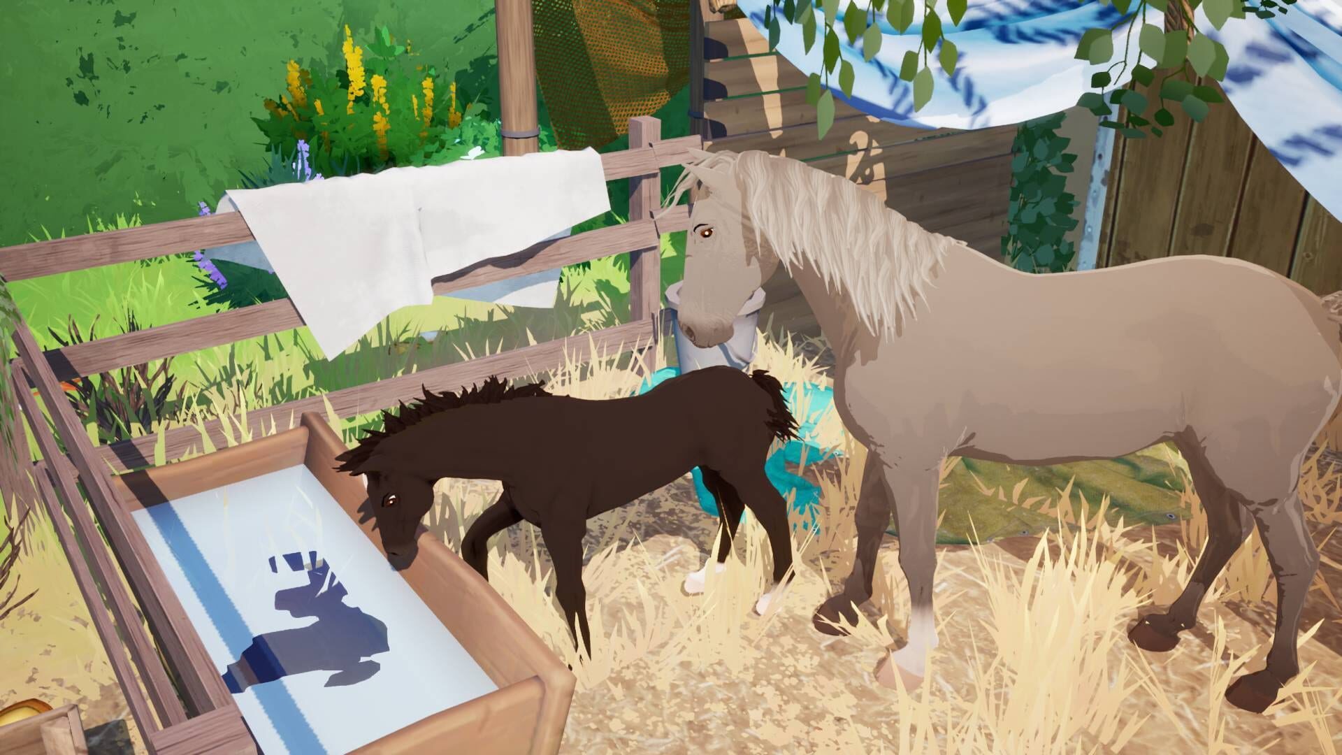 Screenshot for Horse Tales: Emerald Valley Ranch - The Foal Care Pack
