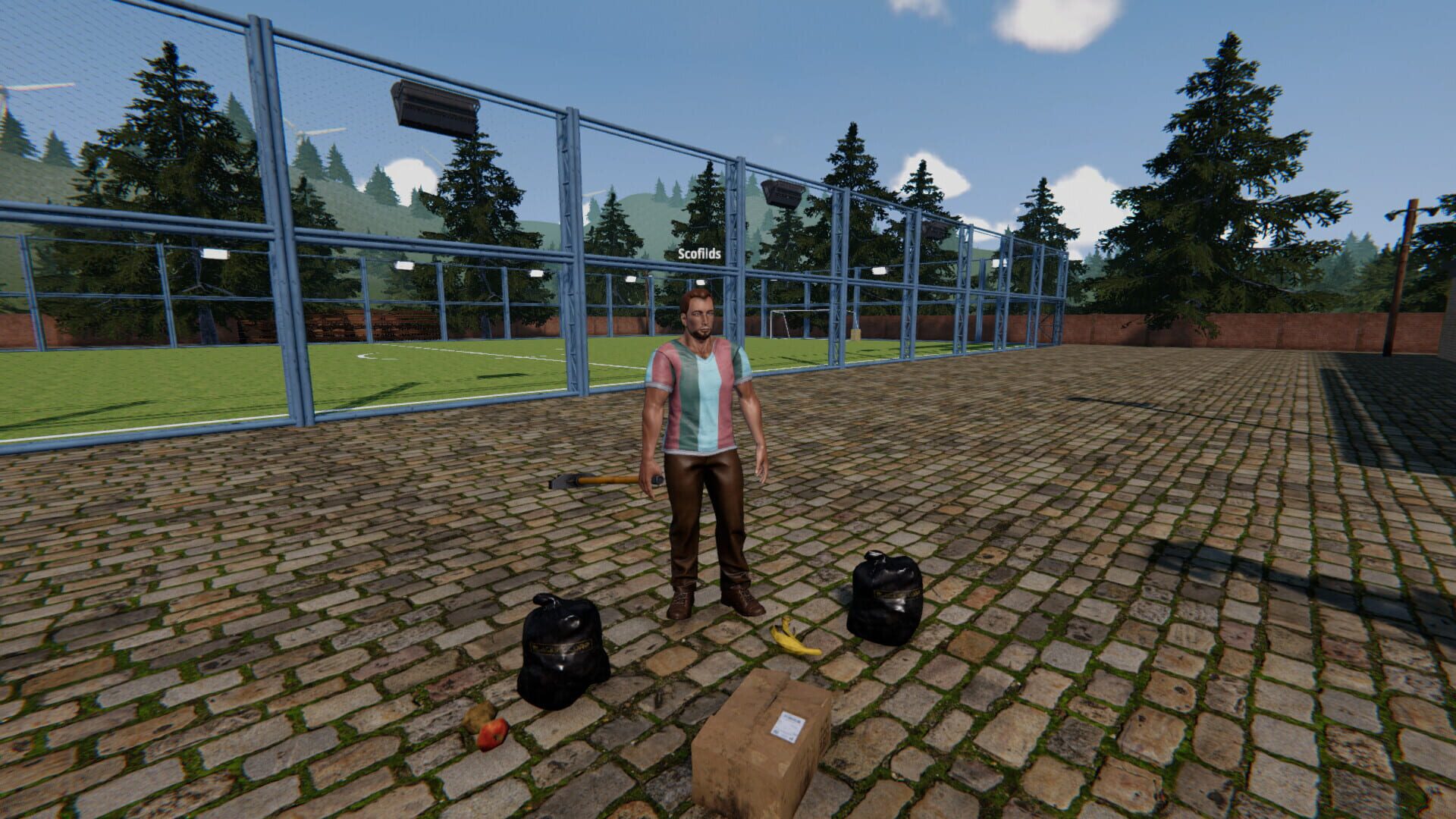 Screenshot for Football Pitch Simulator