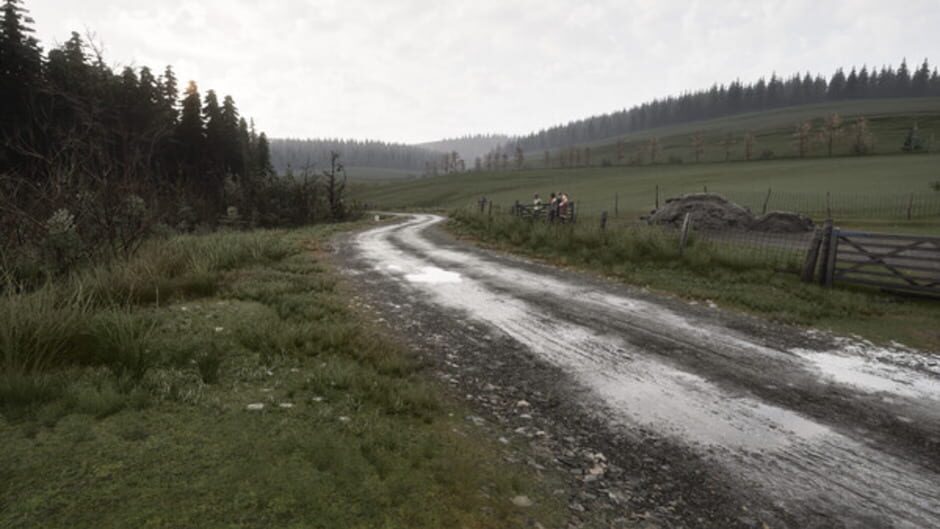 Screenshot for Assetto Corsa Rally